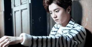 圈内爆料鹿晗和陈赫,圈内爆料揭秘兄弟情深