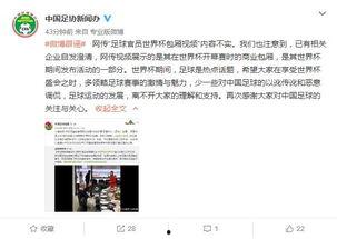 足协官员爆料新闻视频,新闻视频背后的真相曝光