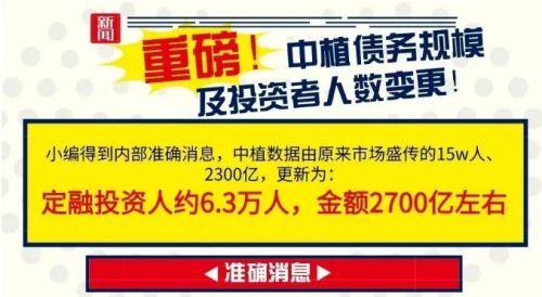 中植爆料最新消息,最新动态揭秘，行业变革即将来临